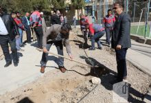 گزارش تصویری مراسم روز درختکاری